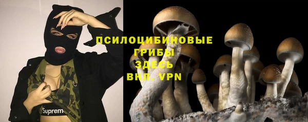 крисы Заволжск