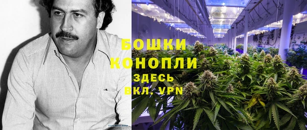 mdma Заводоуковск