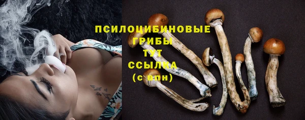 mdma Заводоуковск