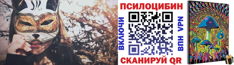 Псилоцибиновые грибы мицелий  Купить где  Касимов 